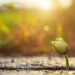 Alltags-Yoga-Das-Denken-meine-zweite-Haut-Stille