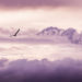 Alltags-Yoga Du kannst fliegen Selbstvertrauen