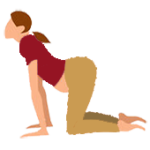 Alltags-Yoga Schwangerschaft Kuh Bitilasana